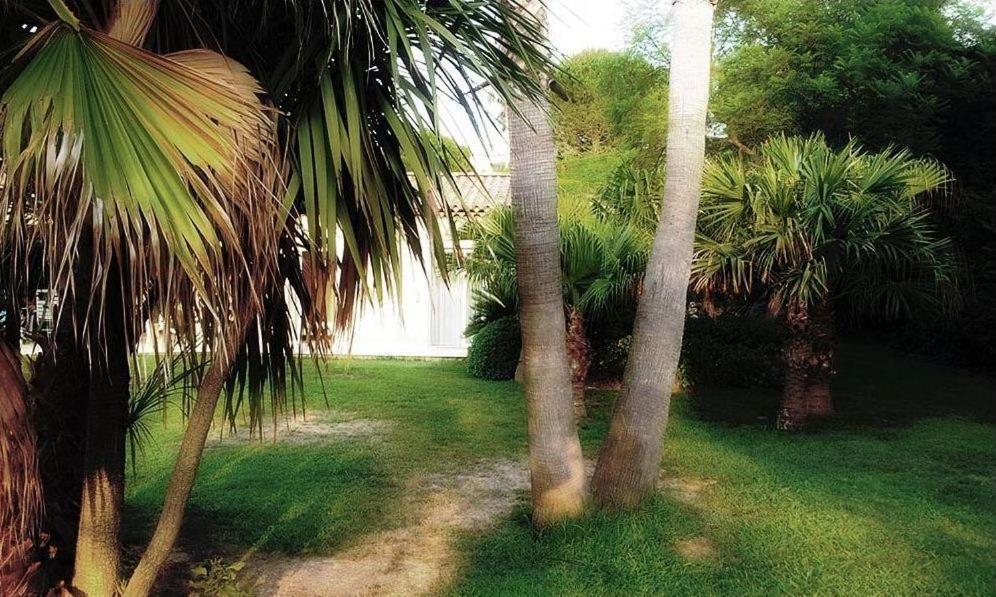 Villa Aloha Antibes Exteriör bild